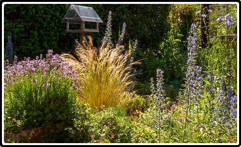 411: 200625-103804_naamloos<br>25-06-2020