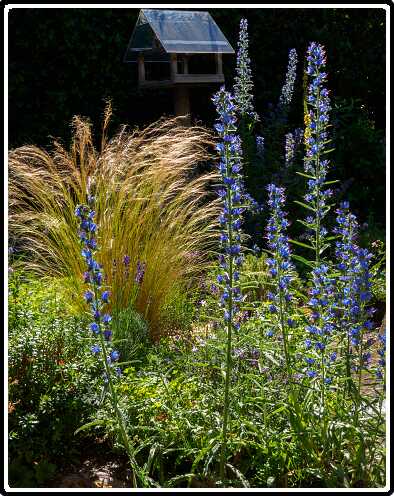 96: 200625-103823_naamloos<br>25-06-2020