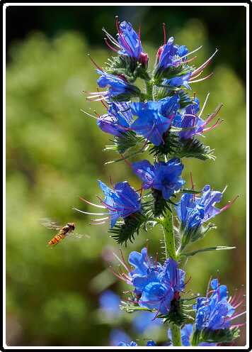 98: 200625-103943_naamloos<br>25-06-2020