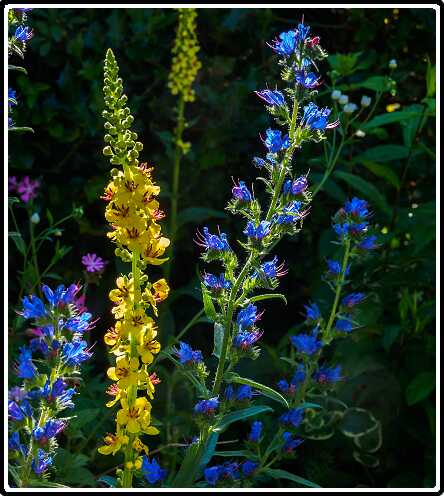 97: 200625-104052_naamloos<br>25-06-2020