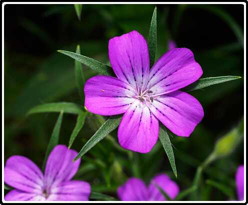 54: 200721-150030_naamloos<br>21-07-2020