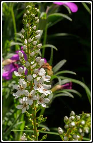 435: 200721-150330_naamloos<br>21-07-2020