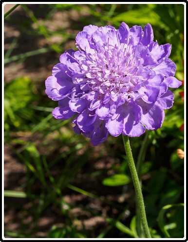 46: 200721-150646_naamloos<br>21-07-2020