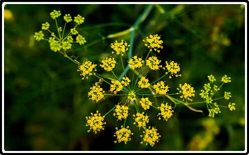 414: 200729-114700_Venkel<br>29-07-2020