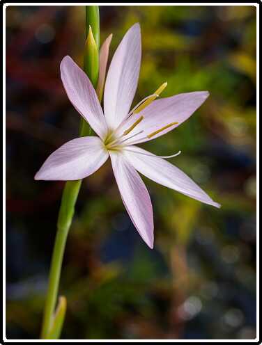 437: 200822-130456_naamloos<br>22-08-2020