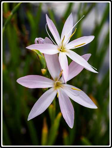 438: 200822-130513_naamloos<br>22-08-2020