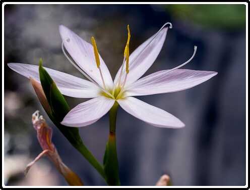 439: 200822-130526_naamloos<br>22-08-2020