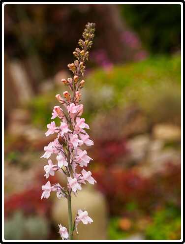 239: 201019-105728_naamloos<br>19-10-2020