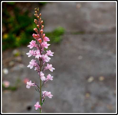 240: 201019-105912_naamloos<br>19-10-2020