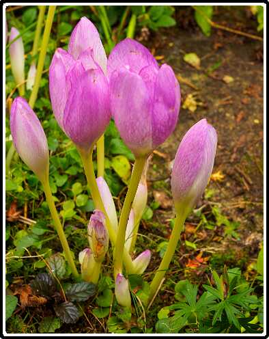 158: 220914-110548_HefstStyloos<br>14-09-2022