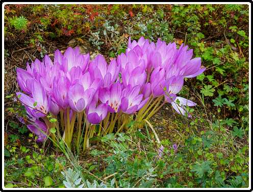 162: 220922-140316_HefstStyloos<br>22-09-2022