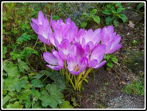 159: 220922-140641_HefstStyloos<br>22-09-2022