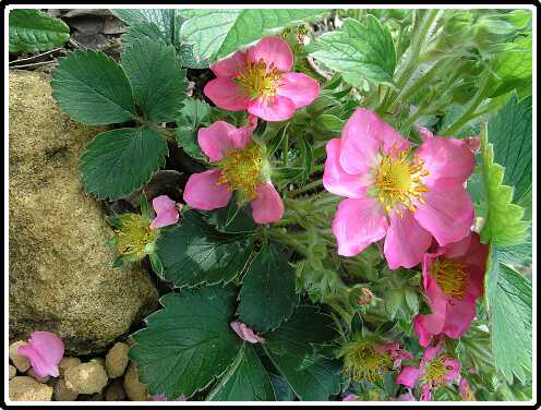 2: AarbeiP5071263<br>07-05-2003