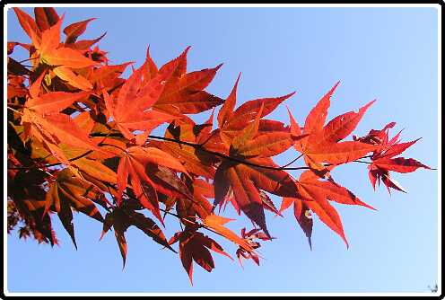 4: AcerP5041231<br>04-05-2003