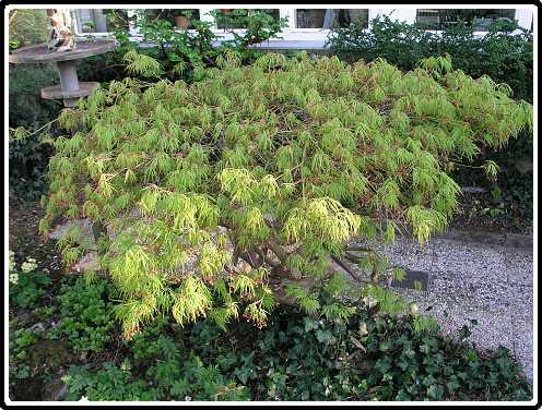 5: AcerVP4231024<br>23-04-2003