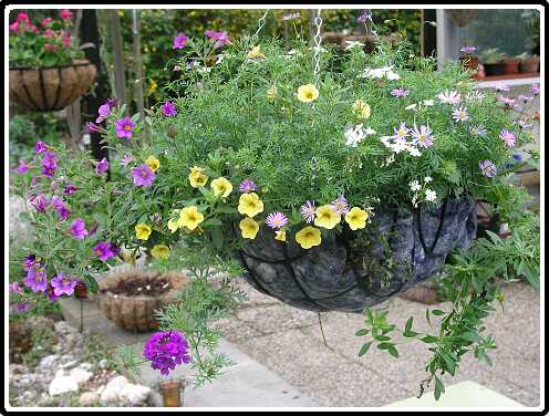 35: BasketP4301133<br>30-04-2003