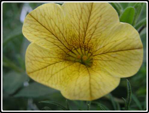 38: BasketP4301139<br>30-04-2003