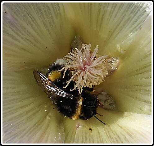 171: Bij_130730_1112 (3)<br>30-07-2013