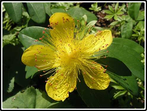 164: HertshooiP7192407<br>19-07-2003