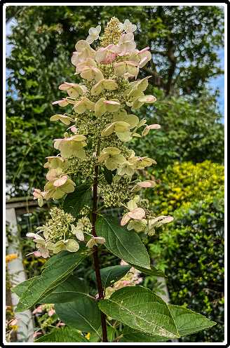 178: IMG_3663<br>24-08-2024