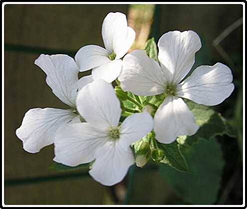 193: JudasPB4160867<br>16-04-2003