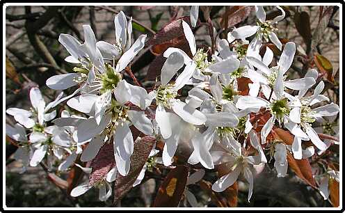 209: KrentP4140785<br>14-04-2003