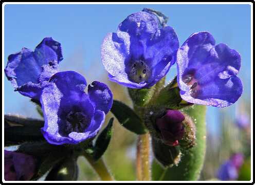 244: LookZLookPC3220495<br>22-03-2003