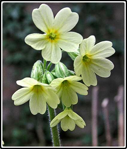 310: PriP3270622<br>27-03-2003