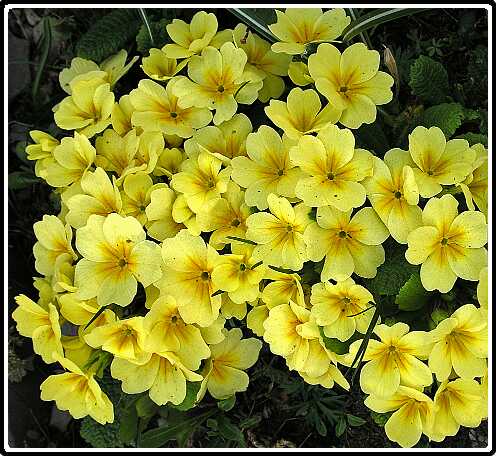 312: PriP4010673<br>01-04-2003