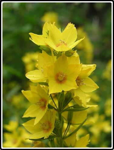 322: PuntWederikP6282085<br>28-06-2003