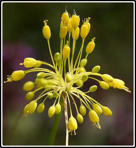 408: Ui_130730_1141<br>30-07-2013
