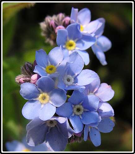 419: VGMNietPB4140803<br>14-04-2003