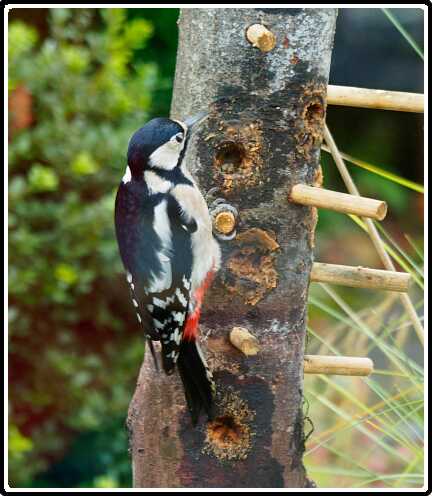 4: 181102-105150_Specht<br>02-11-2018