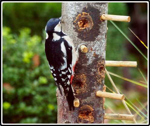 5: 181102-105200_Specht<br>02-11-2018