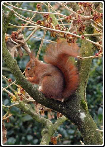 2: Almelo_130316_1216<br>16-03-2013