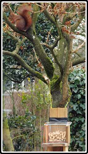 3: Almelo_130316_1216A<br>16-03-2013