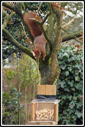 4: Almelo_130316_1217A<br>16-03-2013