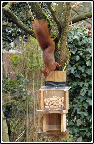 5: Almelo_130316_1217B<br>16-03-2013