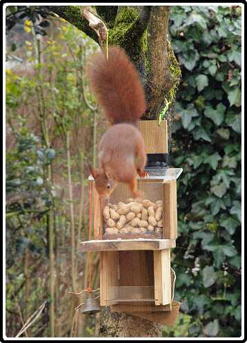 6: Almelo_130316_1217C<br>16-03-2013