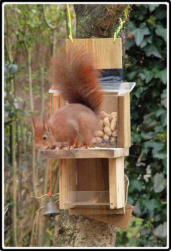 7: Almelo_130316_1217D<br>16-03-2013