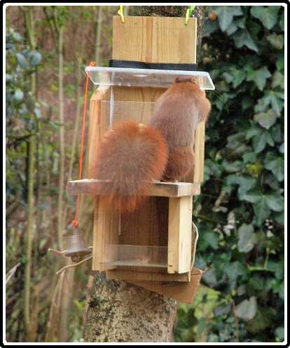 8: Almelo_130316_1218<br>16-03-2013