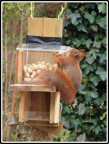 9: Almelo_130316_1218A<br>16-03-2013