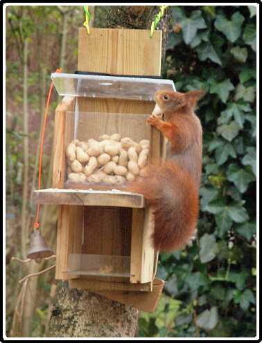 10: Almelo_130316_1218B<br>16-03-2013