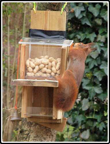 11: Almelo_130316_1218C<br>16-03-2013