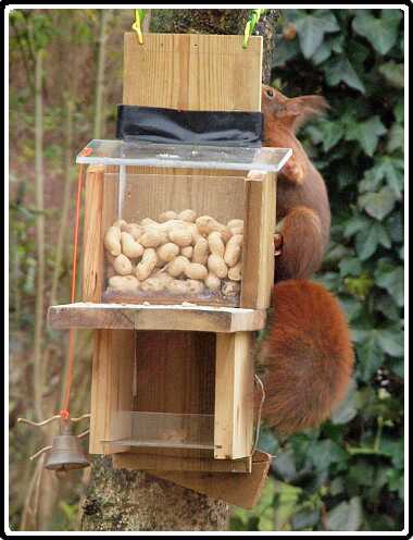 12: Almelo_130316_1218D<br>16-03-2013