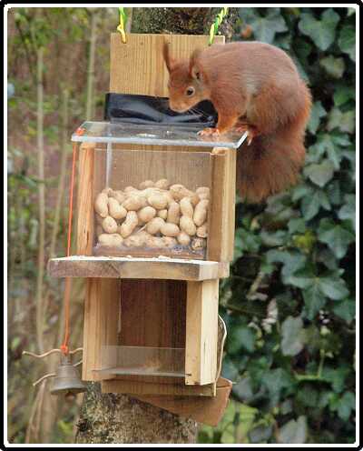 16: Almelo_130316_1218E<br>16-03-2013