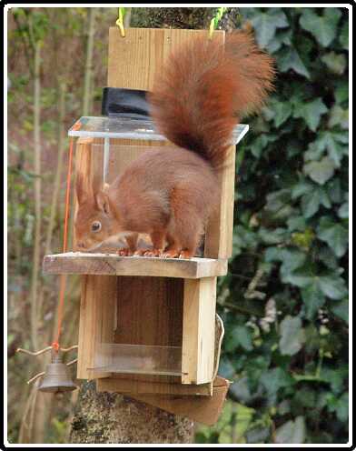 17: Almelo_130316_1218F<br>16-03-2013