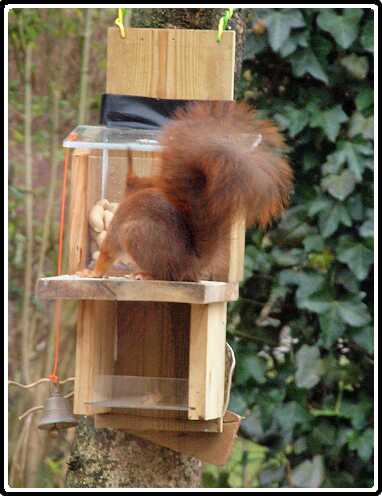 18: Almelo_130316_1218G<br>16-03-2013