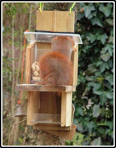 19: Almelo_130316_1218H<br>16-03-2013