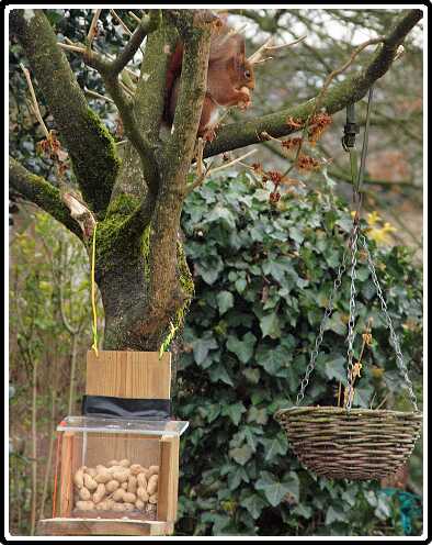 20: Almelo_130316_1218I<br>16-03-2013